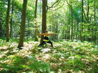 Ferns and trees and yoga - just heaven!